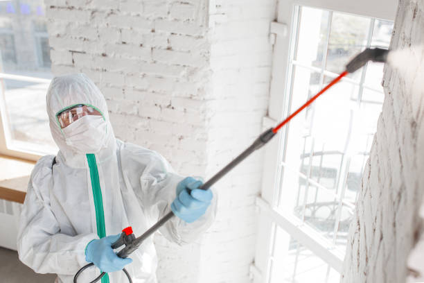 Best Emergency Mold Remediation  in Holyoke, CO