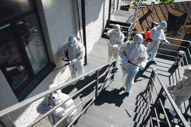 Best Biohazard Mold Removal  in Holyoke, CO