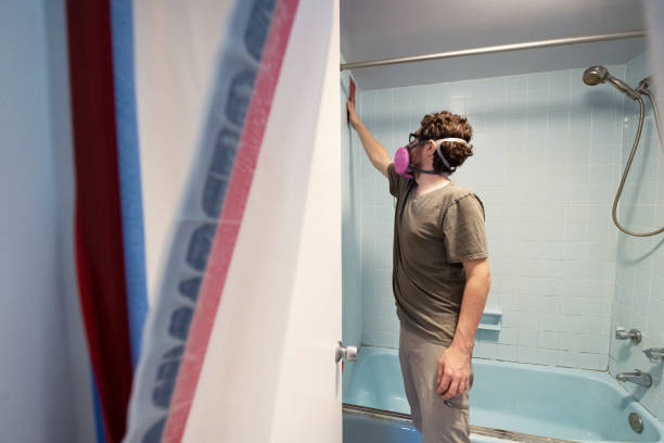Asbestos and Lead Testing During Mold Inspection in Holyoke, CO