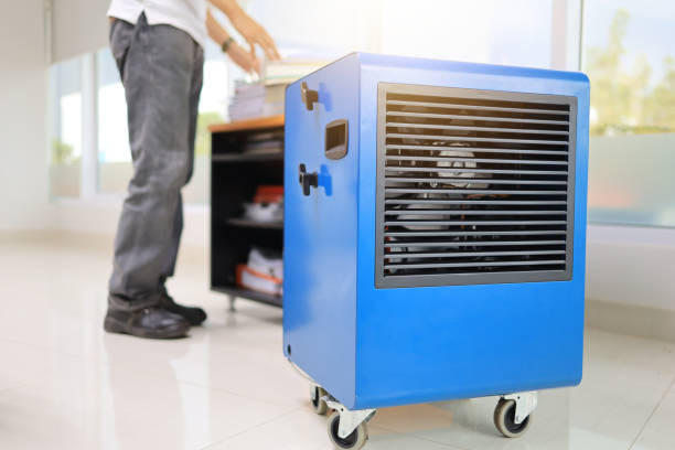  Holyoke, CO Mold Removal Pros